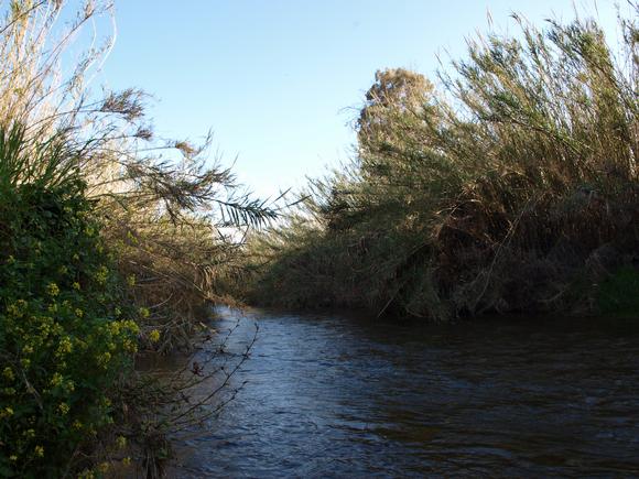 Platanias river